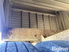 IMG_3294.jpeg