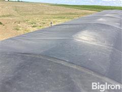 IMG_3306.jpeg