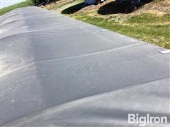 IMG_3307.jpeg