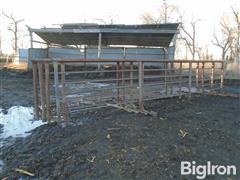 Freestanding 24' Steel Livestock Panel 