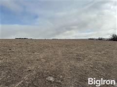 160+/- Acres Boone County, NE