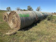 Prairie Hay 