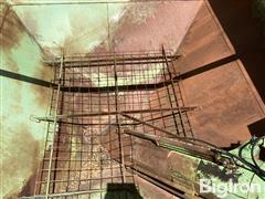 IMG_1387.jpeg