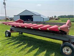 Case IH 10R20” Custom Corn Head 