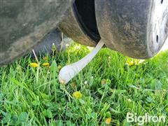 20250506_095740.jpg