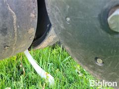20250506_095741.jpg