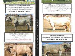 herd sires pg 4.jpg