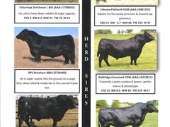 herd sires pg 3.jpg