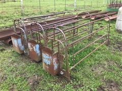 Farrowing Crates 