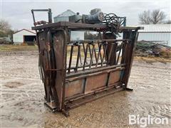 Hydraulic Livestock Squeeze Chute 