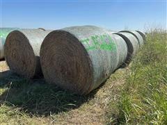 Wheat Hay 