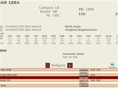 1884Pedigree.JPG