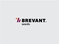 Brevant Logo.JPG