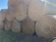 1) Load Of Wheat Straw 1000lb Bales 
