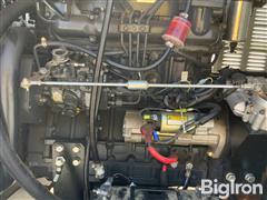 IMG_4172.jpeg