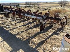 Lilliston 8R30” Cultivator 