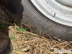 IMG_1716.jpeg
