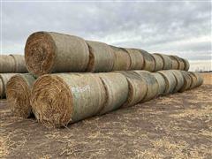 2023 Sorghum Sudangrass Round Hay Bales 