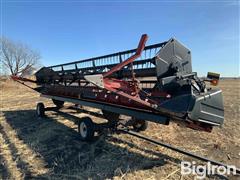 2005 Case IH 1020 Platform Head 