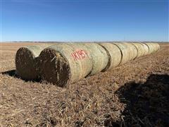 Millet (Forage) Hay Big Round Bales 