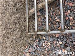 IMG_4805.jpeg