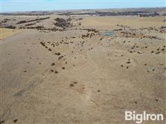 Tract #3: 160+\- Acres Nance County, NE