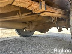 IMG_6173.jpeg