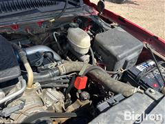IMG_6213.jpeg