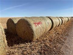 Millet (Forage) Hay Big Round Bales 