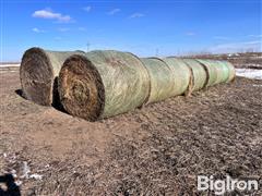 3rd Cutting Alfalfa Round Bales 