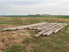 Telephone Poles 