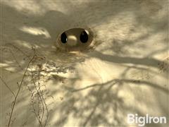 IMG_1517.jpeg
