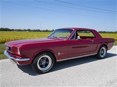 1966 Ford Mustang 