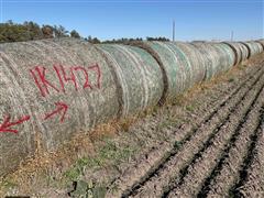 Wheat Hay Big Rounds 