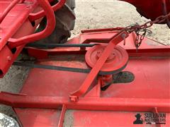 IMG_0559.jpeg