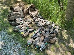 Floating Duck Decoys 