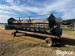 Agco 20F Flex Header w/ Crary Air Reel & Header Trailer 