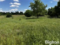 IMG_0752.jpeg