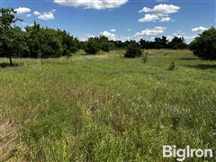 IMG_0753.jpeg