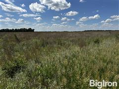 IMG_0735.jpeg