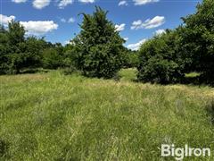 IMG_0756.jpeg
