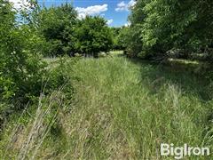 IMG_0754.jpeg