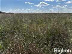 IMG_0730.jpeg
