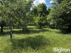 IMG_0739.jpeg