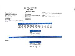 3aregistrationdodsworth_Page_2.jpg