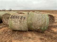 items/ee0ebb5e0c92ee1192bc0022488ff517/34bales2023crphay-8_061c5dc4ad7342bdb3536a2af2aa2ba7.jpg