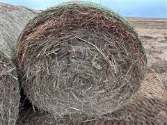 items/ee0ebb5e0c92ee1192bc0022488ff517/34bales2023crphay-8_2345dbe884244081bc94234adfcce9dc.jpg