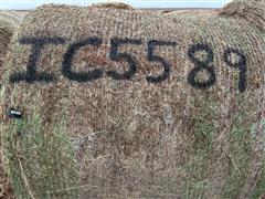 items/ee0ebb5e0c92ee1192bc0022488ff517/34bales2023crphay-8_7ffdedc2dc94418b9f801cc233866df5.jpg