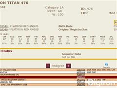 476 Pedigree.JPG