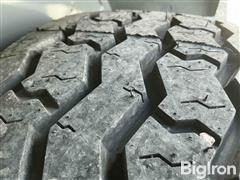 80030159ae164ad19d3a01958de4507a.jpg